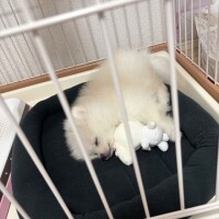 めろ