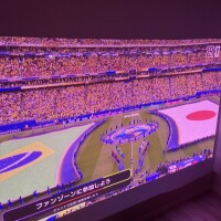夢をありがとう🫶