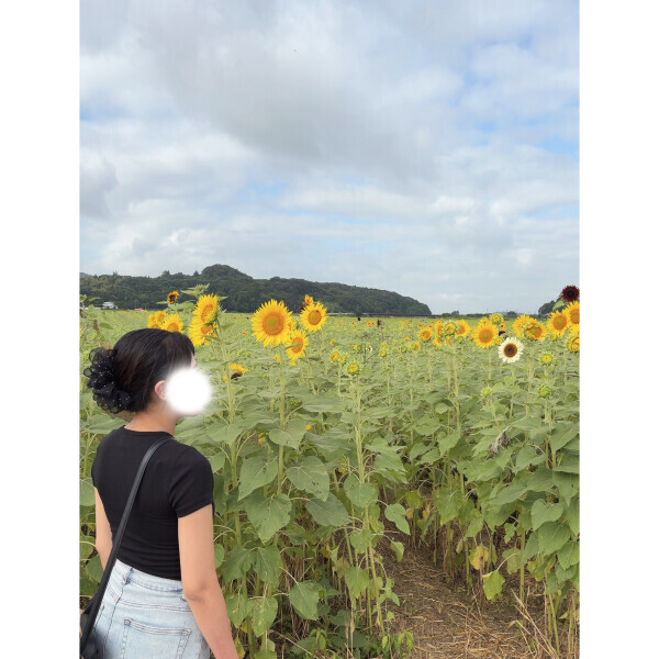 🌻