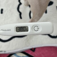体調崩してしまいました、、
