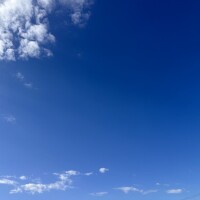みらいです(ᐡᴗ ᴗᐡ)