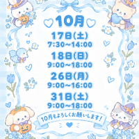 しほ