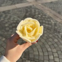 明日の時間変更⏰