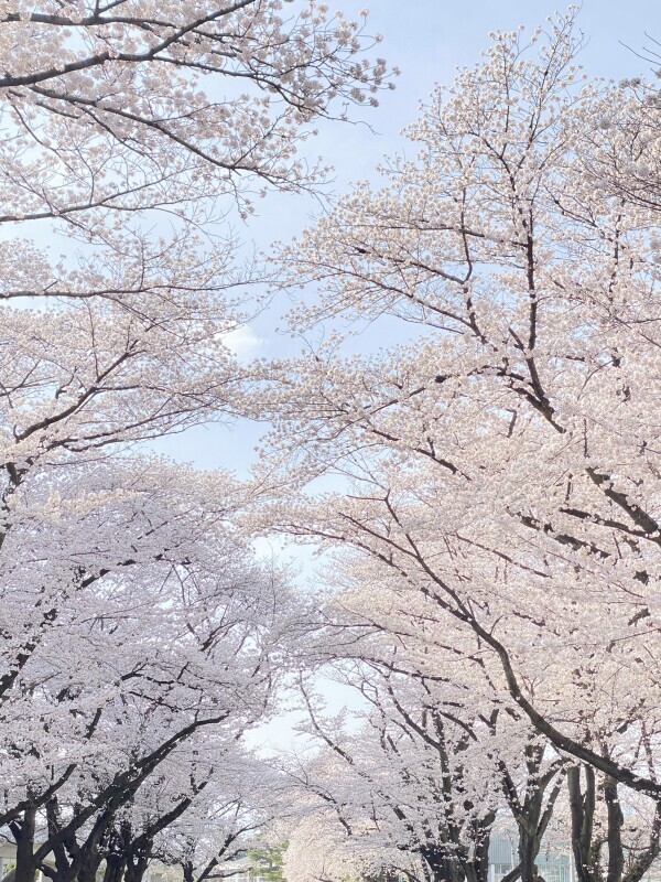 出勤したよー！