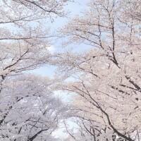 出勤したよー！