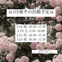 🐰出勤予定🐰