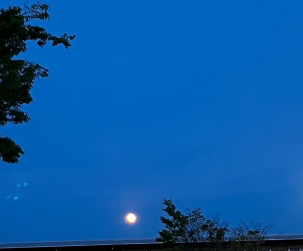 満月の日🌕