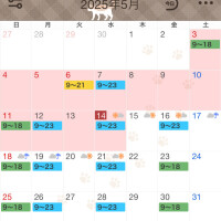 5月予定🗓