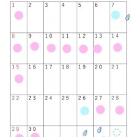 🐣6月