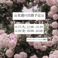 まりか