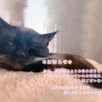 ももか