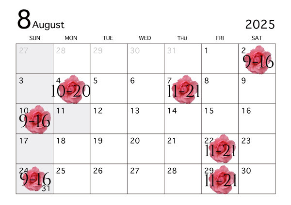 8月🪸‪🧡‬‪