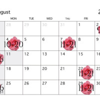 8月🪸‪🧡‬‪