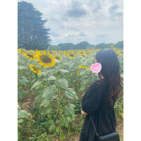 🌻