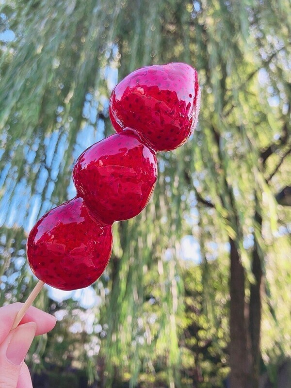 おはようございます☀️ お知らせ