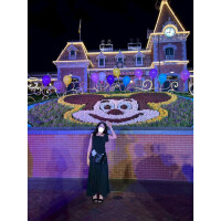 🐭🏰‪‪