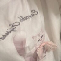 今日は19:30から‼️🐱(｡･_･`｡)