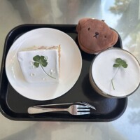 こんにちは🧸🍀