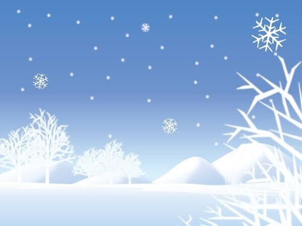 入店しました❄️