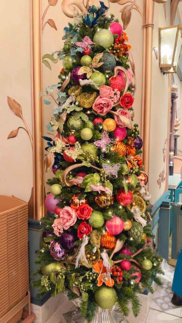 ブログ、お久しぶりです‎