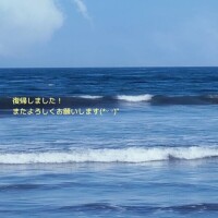 復帰しました！✧*｡