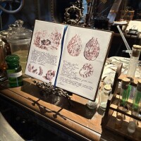 ♡あけおめことよろ♡