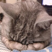 ごめんなさい🙇🏻‍♀️‪‪