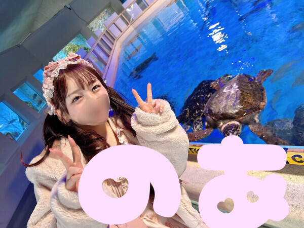 かめ🐢