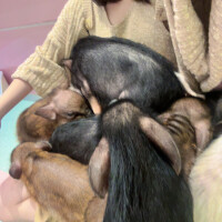 完売ありがとう🙇‍♀️