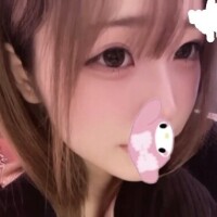本日出勤です🐰