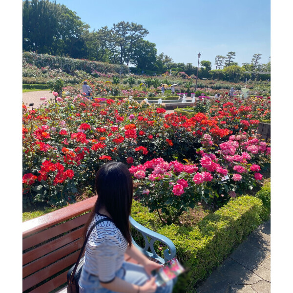 🌹
