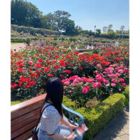 🌹