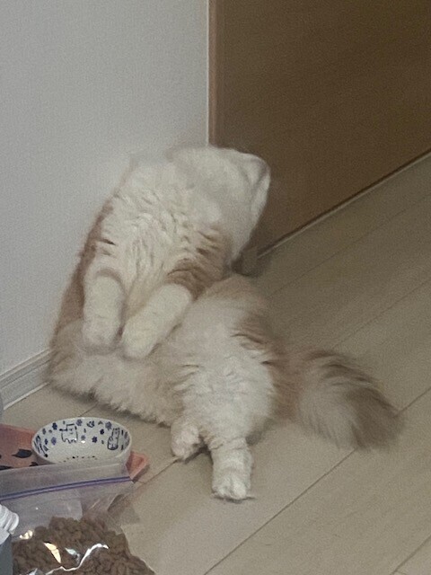 image0.jpeg
