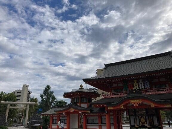 選ぶなら..?|*･ω･)ﾁﾗｯ