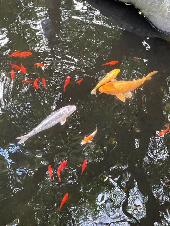 出勤予定変更( * . .)"
