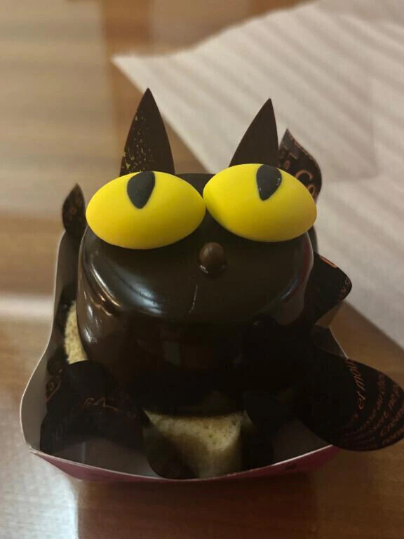 猫ちゃん再開❤️