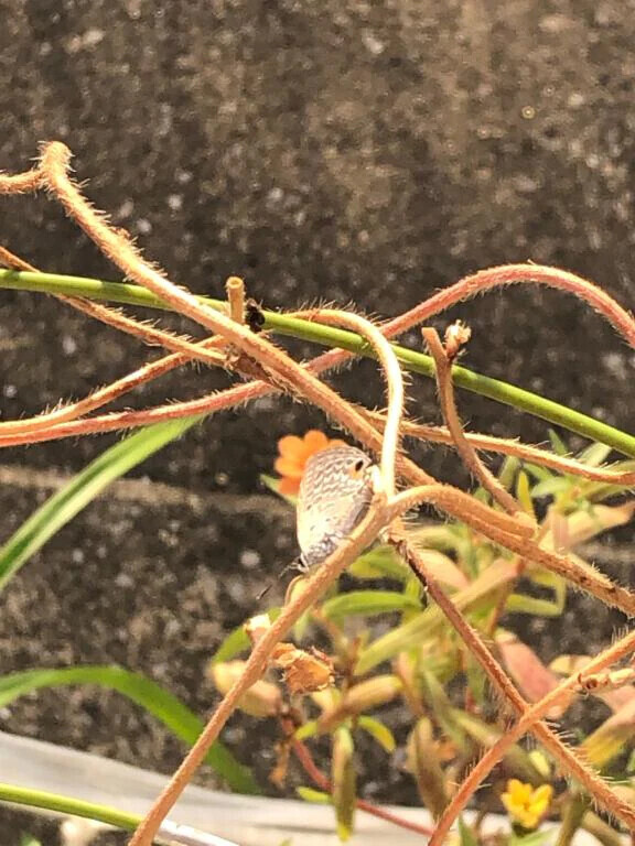 向かってまーす！