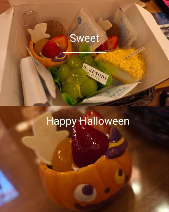 ありがとうございました(*´ω`*)