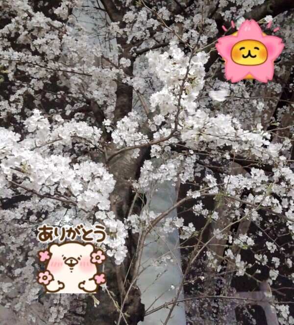 お礼💓‪
