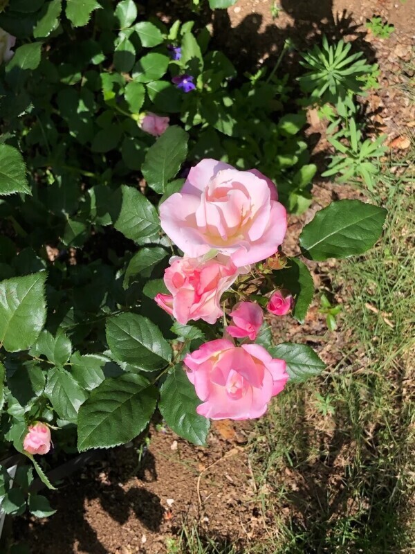 4月18日 お礼♡♡♡