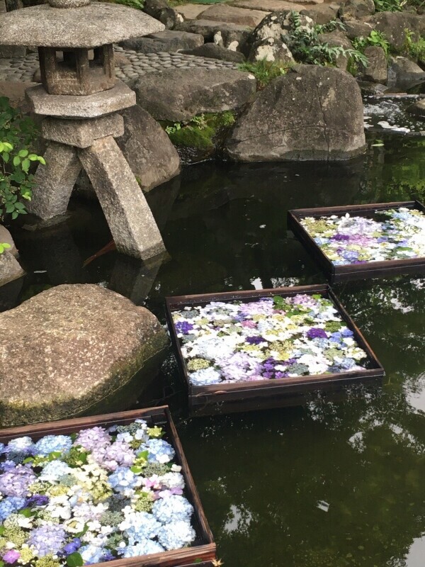 ジメジメムシムシ｡ﾟ(¯ㅿ¯υ)ﾟ｡