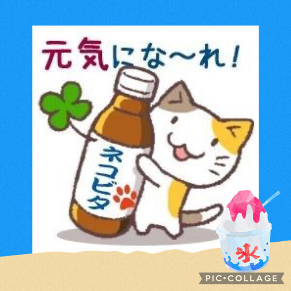 7月11日のお礼♡♡
