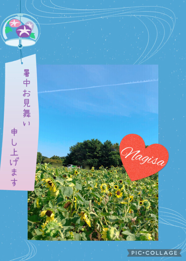 夏の風物詩🌻