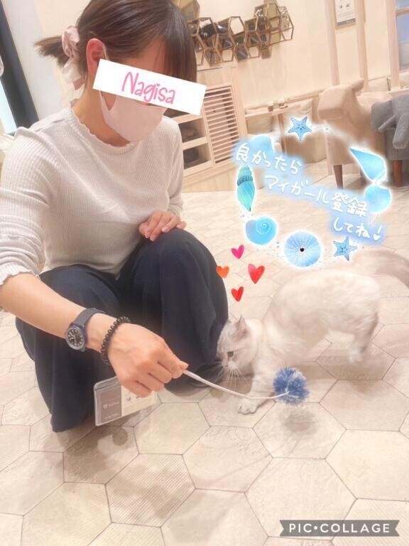 もふもふ(  ·  )