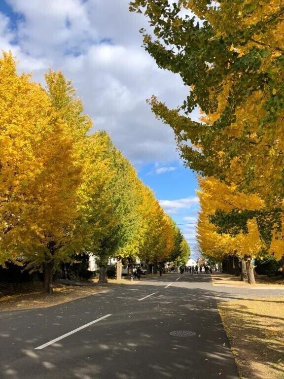来週の出勤予定お知らせ⋆⋆