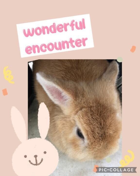 今日も元気に( *´`*)