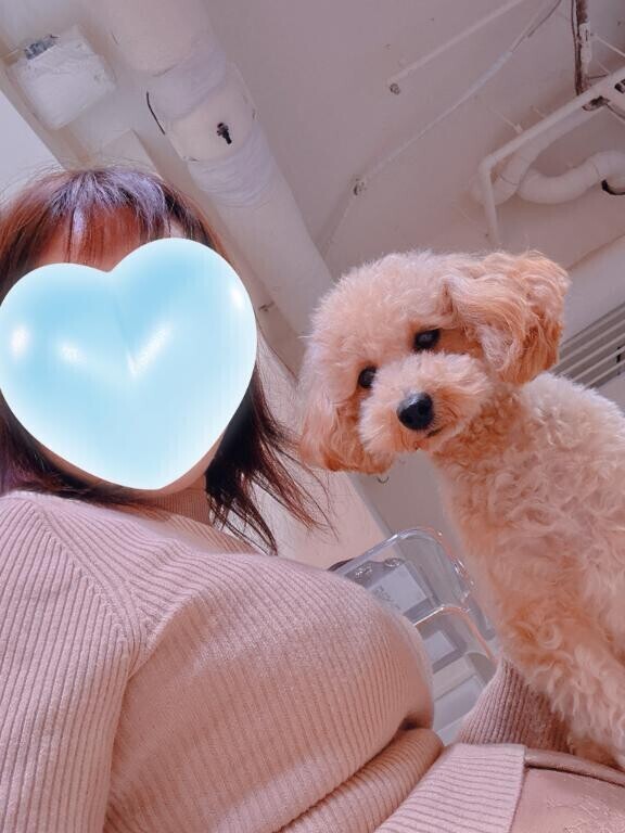 今日も宜しくデス〜