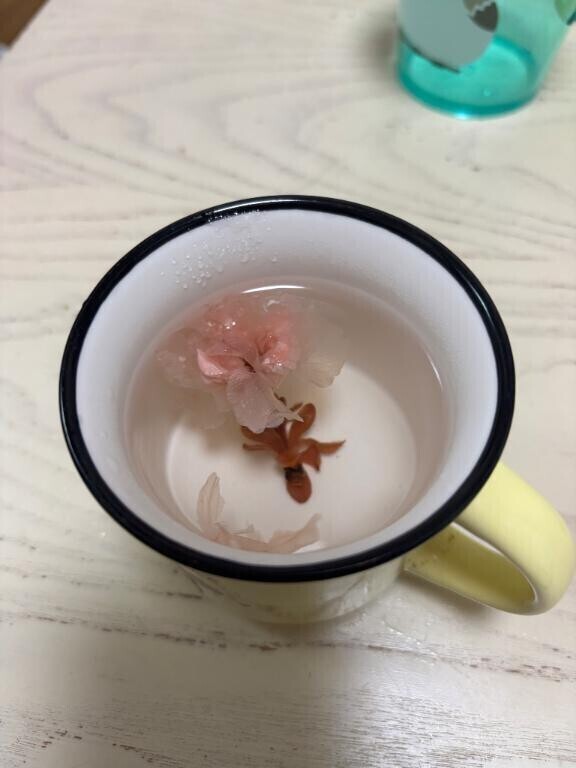 桜茶