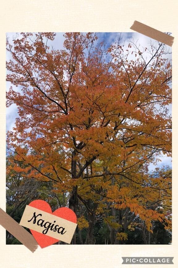 しばらくお休みします