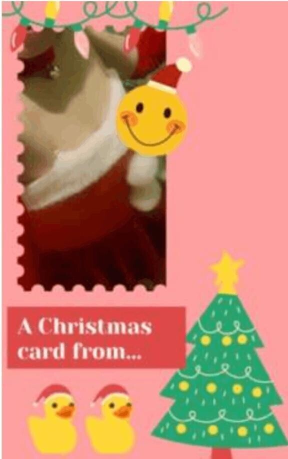 11月の御礼＆本日